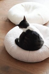 Taro Pudding Bed