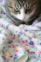 Cottage Garden Blanket