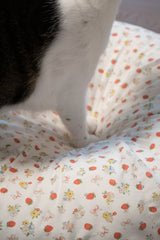 Strawberry Jam Pudding Bed