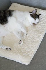 Cream Puff Bed
