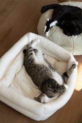 Dubu Bed