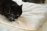 New Funfetti Pastry Bed