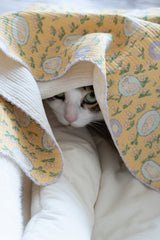 Bunny Butter Blanket