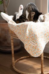 Sunset Sorbet Blanket