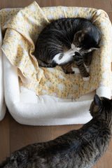 Bunny Butter Blanket
