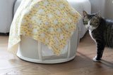 Bunny Butter Blanket