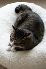 Top-down view of tabby cat curled inside the center dip of Ocatnip’s Marshmallow Pudding Bed