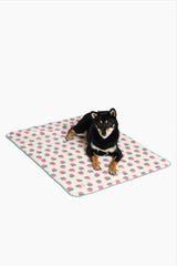 Strawberry Puff Blanket