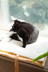 Lemon Roll-Up Bed
