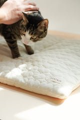 Heart Pastry Bed