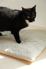 Heart Pastry Bed