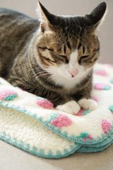 Strawberry Puff Blanket