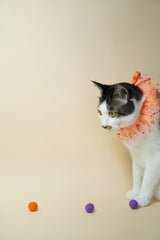 Trick-O-Treat Cape