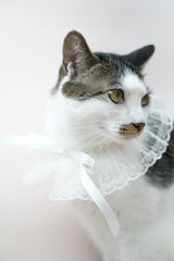 Winter Wonderland Cape