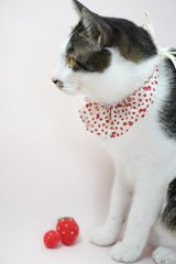 Strawberry Shortcake Bib