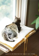 Lemon Roll-Up Bed