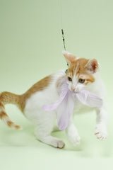 Large Lilac Feather Teaser
